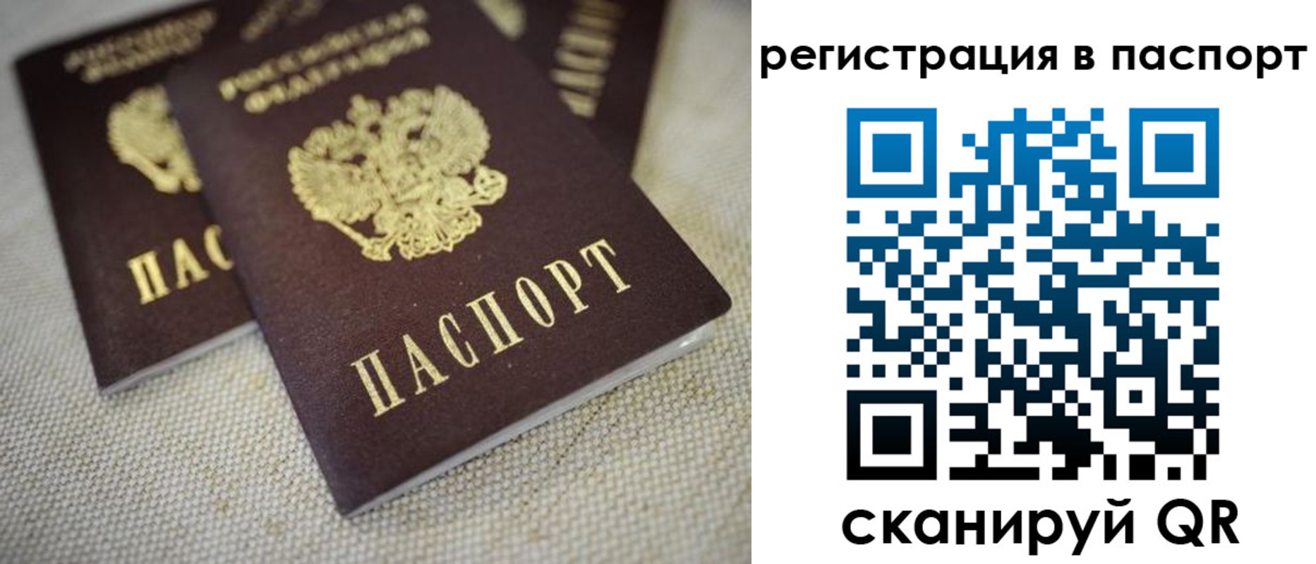 прописка гарантия в Славгороде
